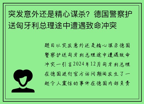 突发意外还是精心谋杀?德国警察护送匈牙利总理途中遭遇致命冲突