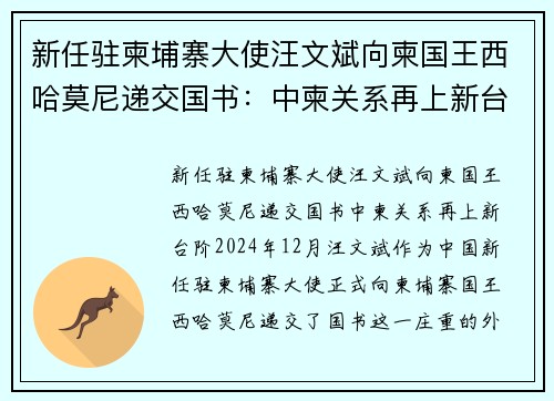 新任驻柬埔寨大使汪文斌向柬国王西哈莫尼递交国书：中柬关系再上新台阶