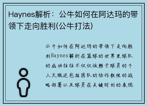 Haynes解析：公牛如何在阿达玛的带领下走向胜利(公牛打法)