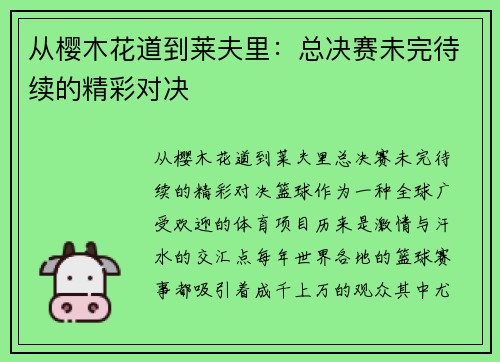 从樱木花道到莱夫里：总决赛未完待续的精彩对决